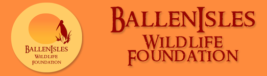 BallenIsles Wildlife Foundation